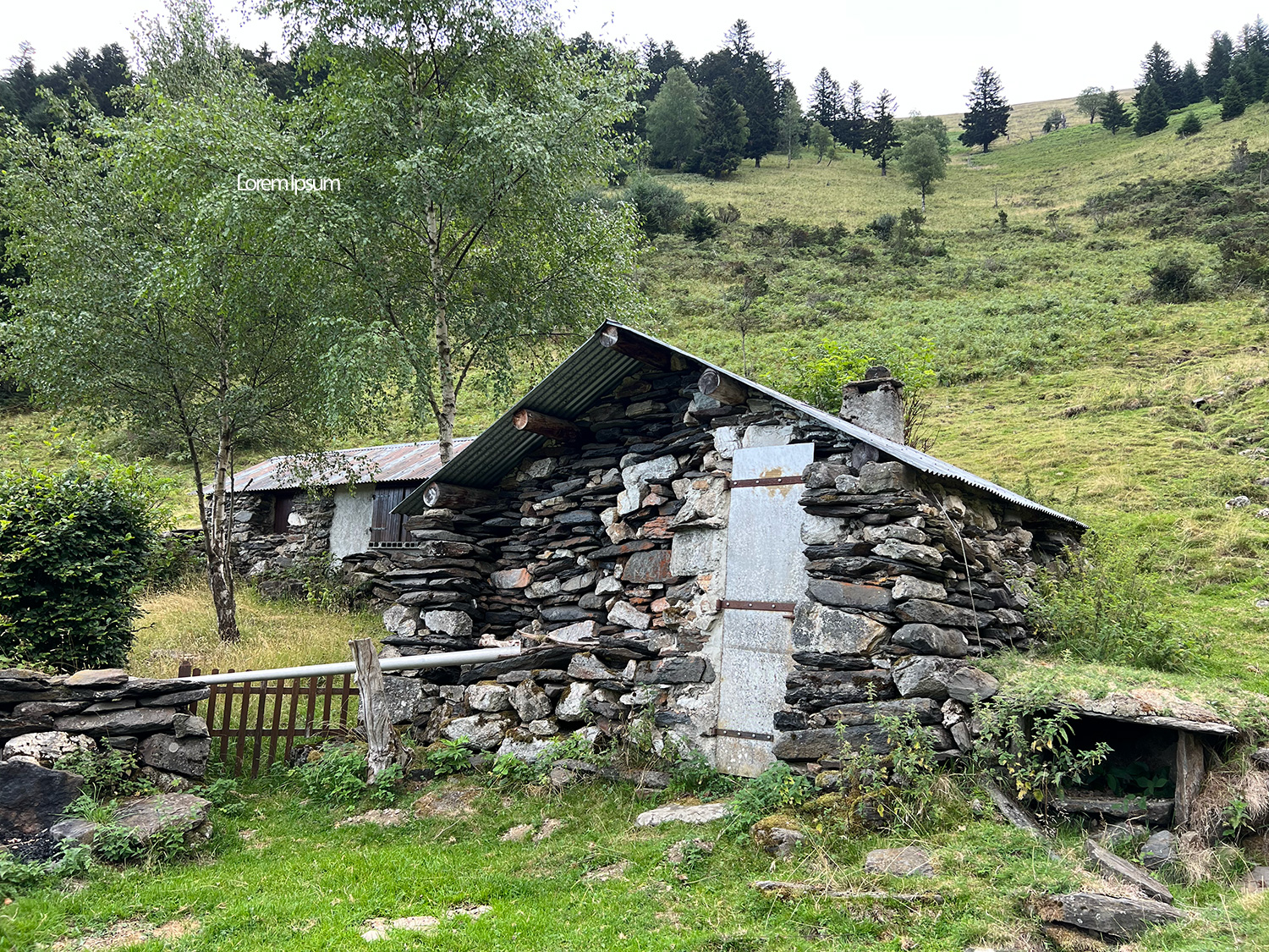 Adour Ânes Pyrénées