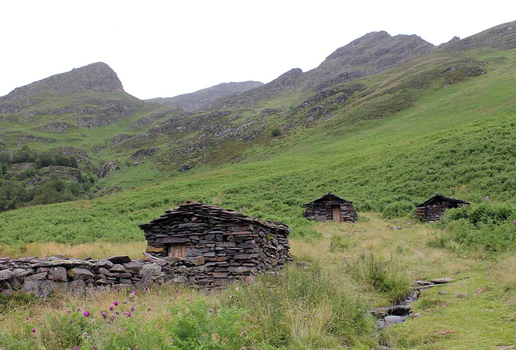 Adour Ânes Pyrénées