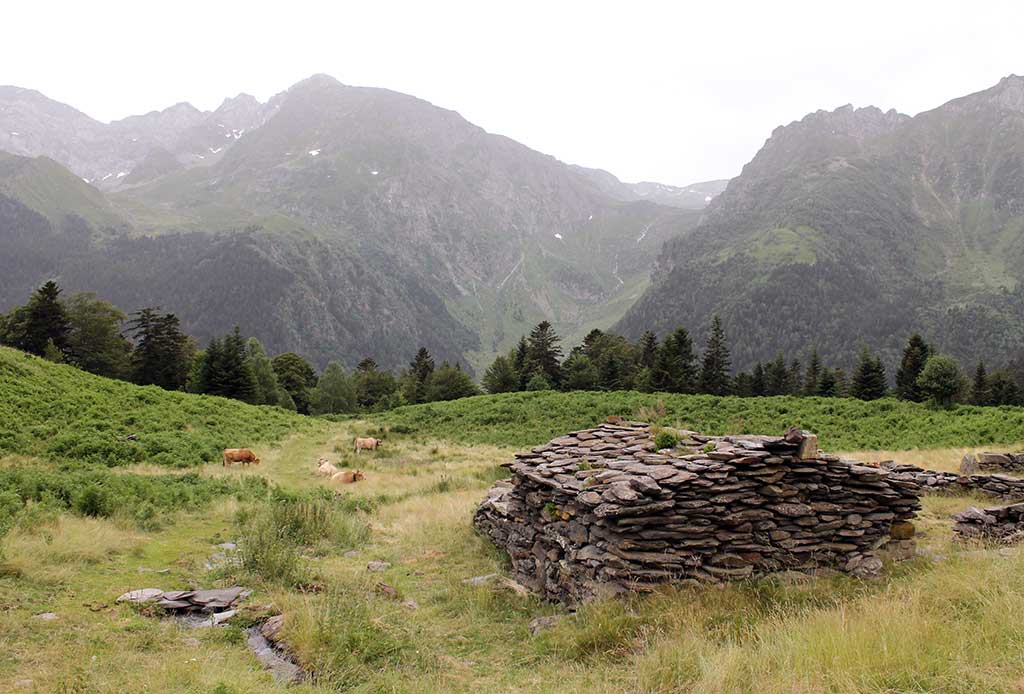 Cabanes de la Lit avec Adour Ânes Pyrénées