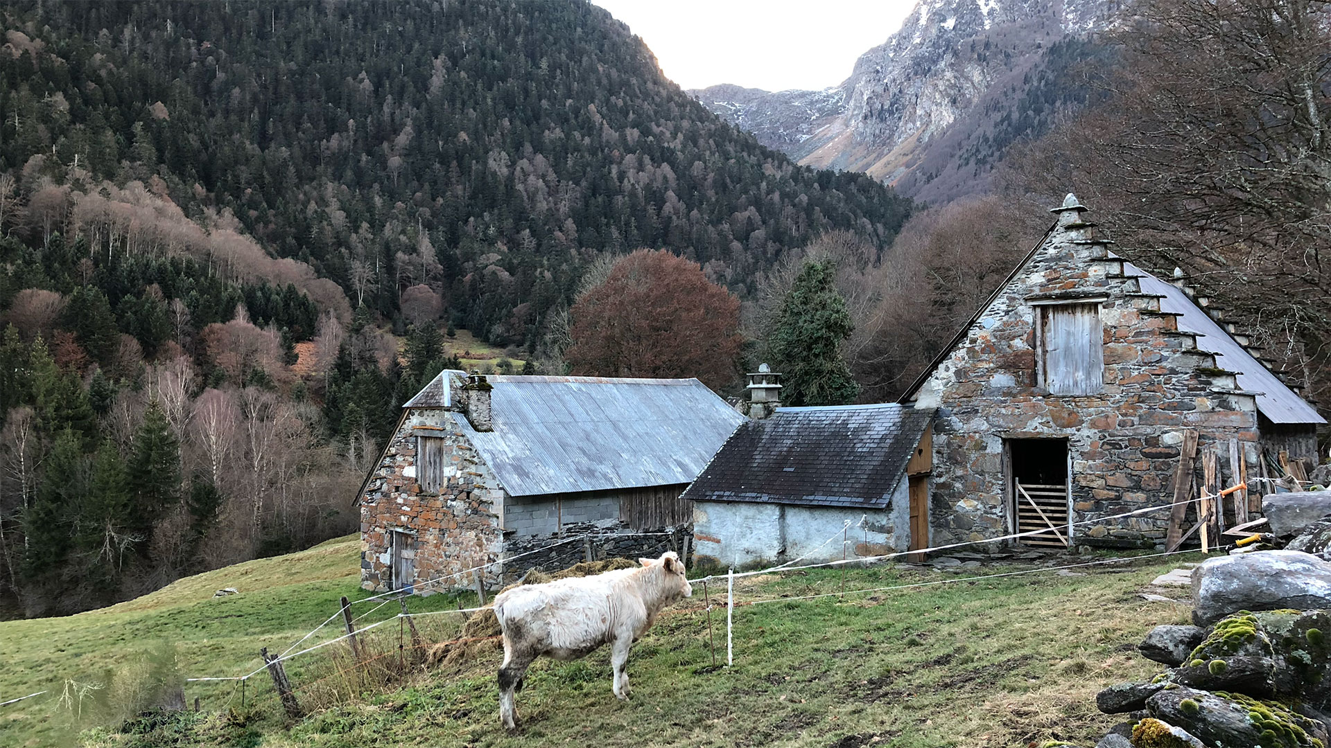 Adour Ânes Pyrénées